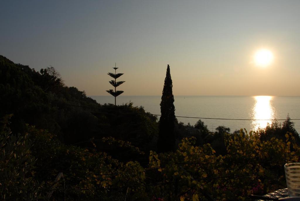 Hotel Villa Belvedere بوناسولا المظهر الخارجي الصورة